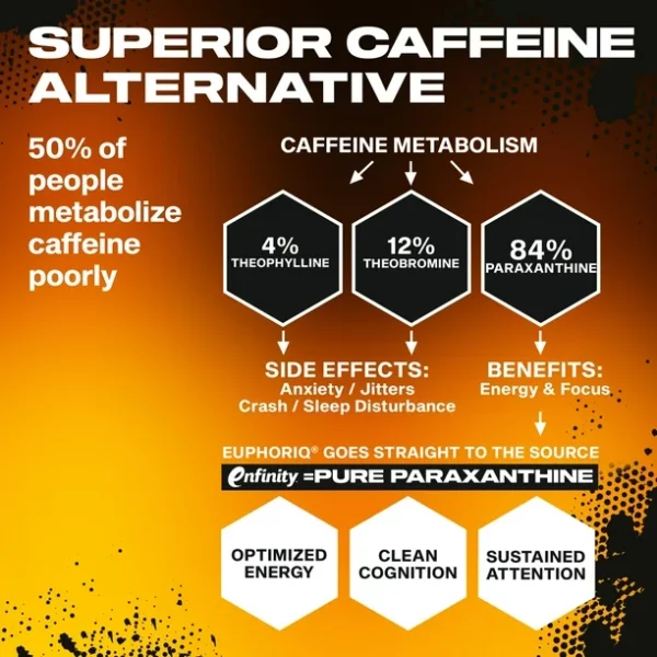 MUSCLETECH EUPHORIQ PRE-WORKOUT – Image 4